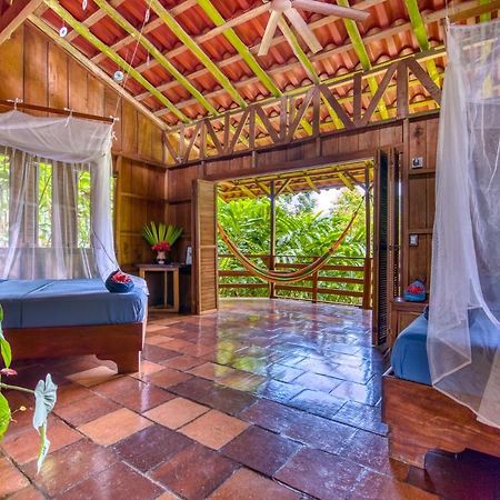 Selva Bananito Lodge Westfalia Ngoại thất bức ảnh