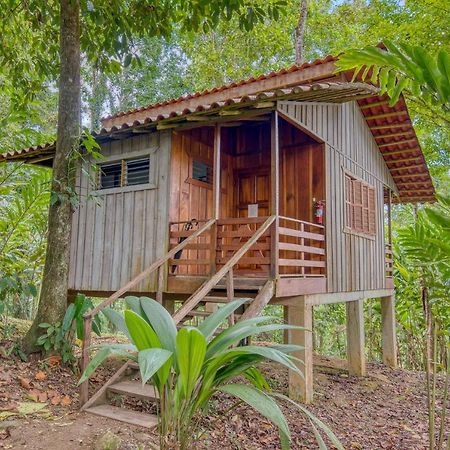 Selva Bananito Lodge Westfalia Ngoại thất bức ảnh