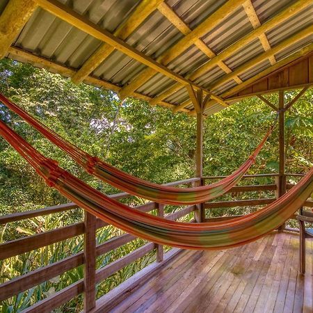 Selva Bananito Lodge Westfalia Ngoại thất bức ảnh