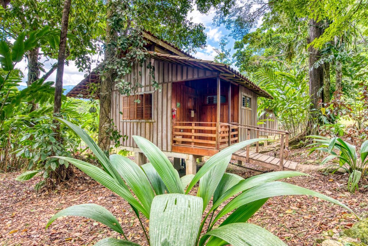 Selva Bananito Lodge Westfalia Ngoại thất bức ảnh