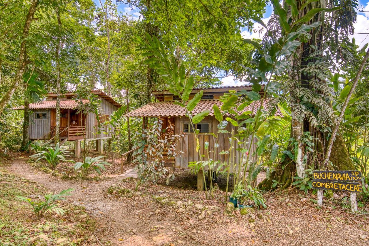 Selva Bananito Lodge Westfalia Ngoại thất bức ảnh