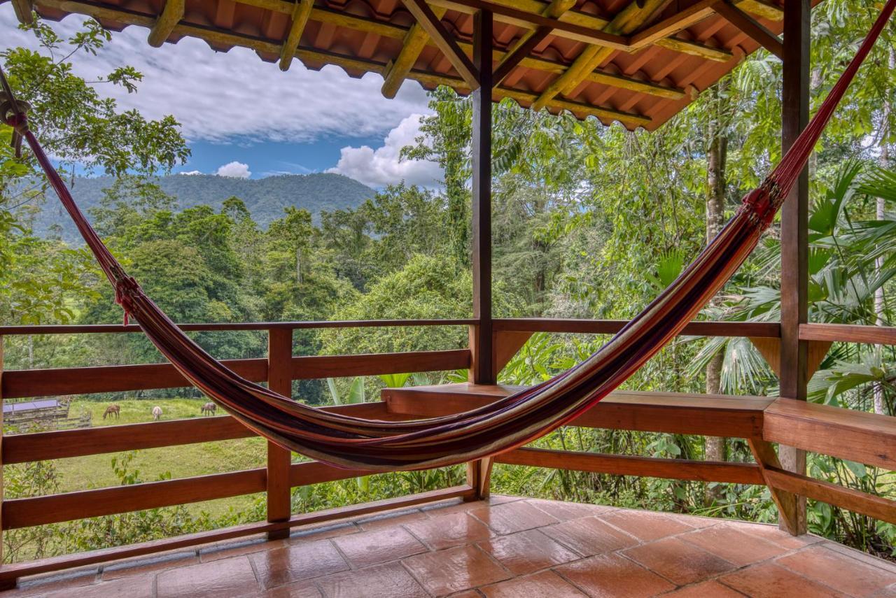 Selva Bananito Lodge Westfalia Ngoại thất bức ảnh