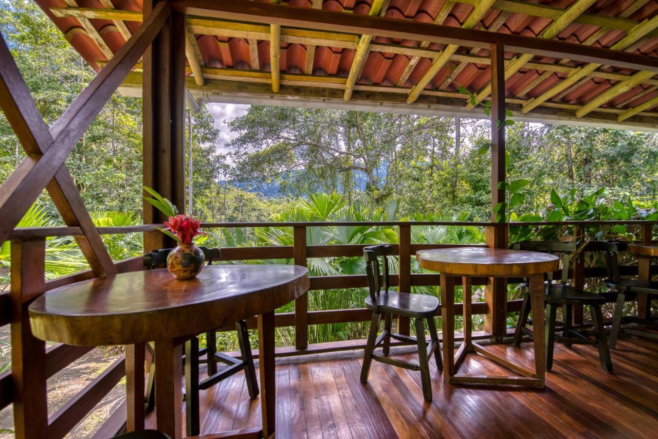 Selva Bananito Lodge Westfalia Ngoại thất bức ảnh
