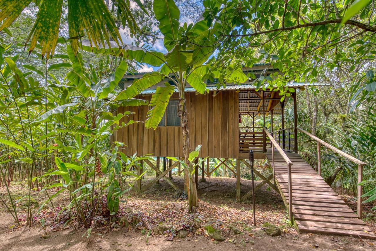Selva Bananito Lodge Westfalia Ngoại thất bức ảnh