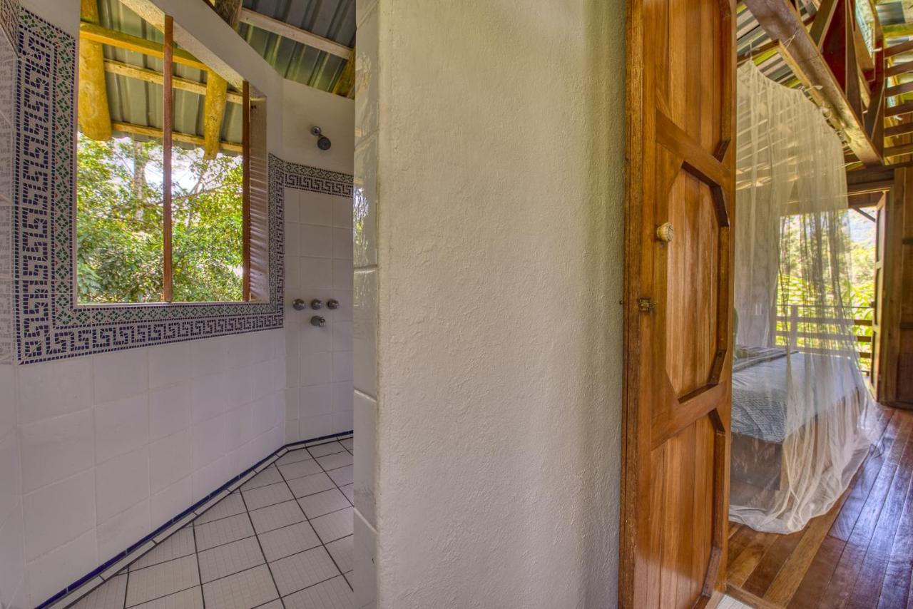 Selva Bananito Lodge Westfalia Ngoại thất bức ảnh