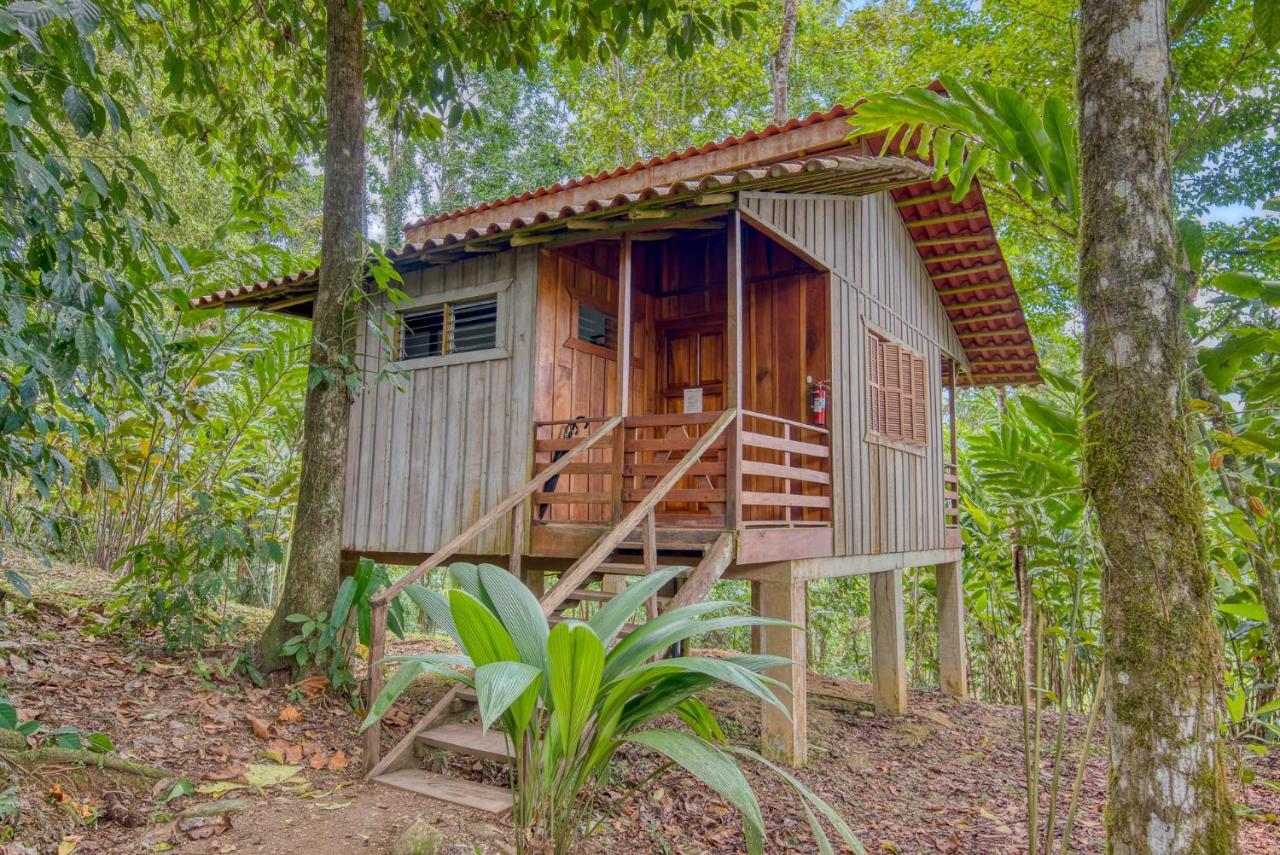 Selva Bananito Lodge Westfalia Ngoại thất bức ảnh