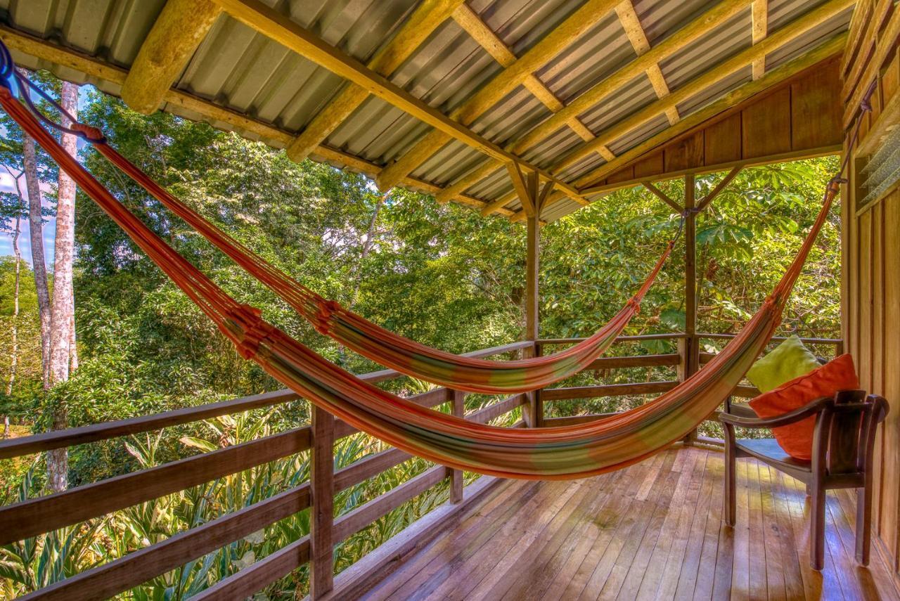 Selva Bananito Lodge Westfalia Ngoại thất bức ảnh