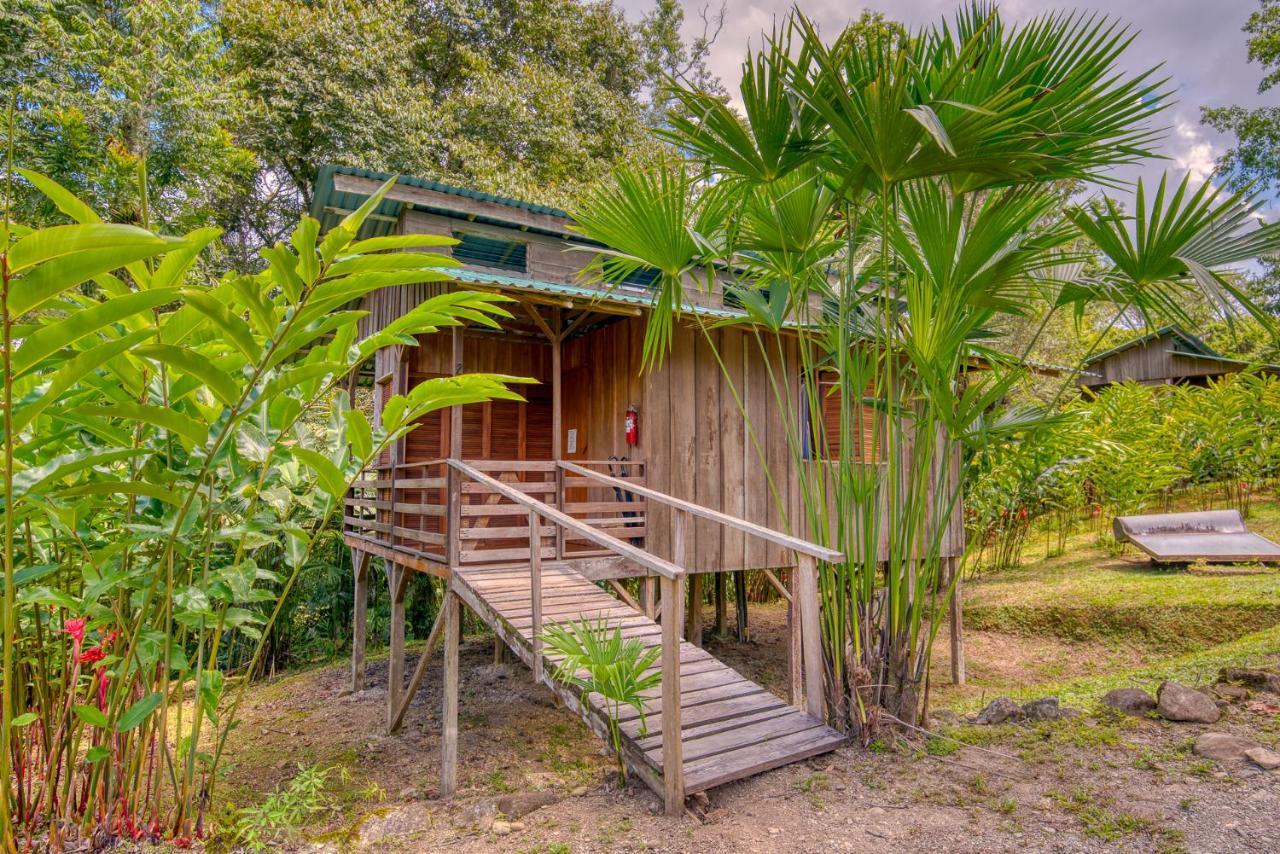 Selva Bananito Lodge Westfalia Ngoại thất bức ảnh