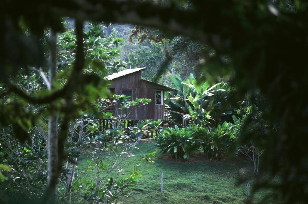 Selva Bananito Lodge Westfalia Phòng bức ảnh