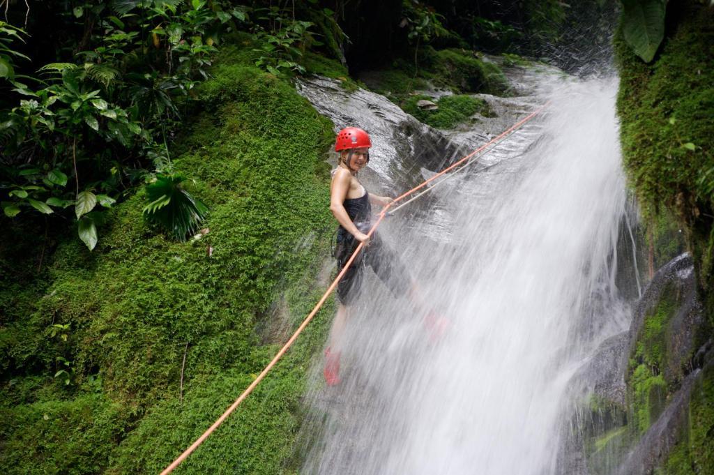 Selva Bananito Lodge Westfalia Ngoại thất bức ảnh