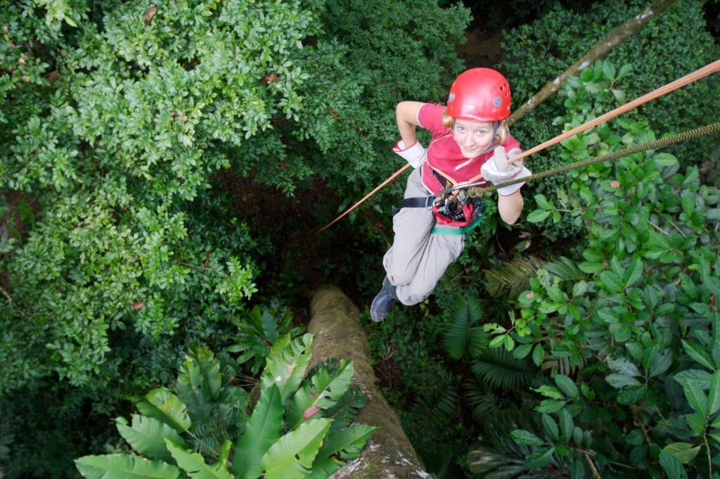 Selva Bananito Lodge Westfalia Ngoại thất bức ảnh