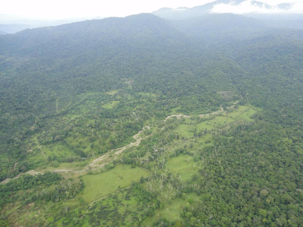 Selva Bananito Lodge Westfalia Ngoại thất bức ảnh