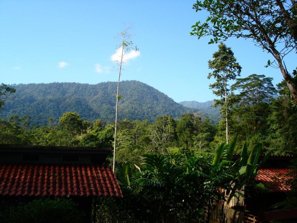 Selva Bananito Lodge Westfalia Ngoại thất bức ảnh