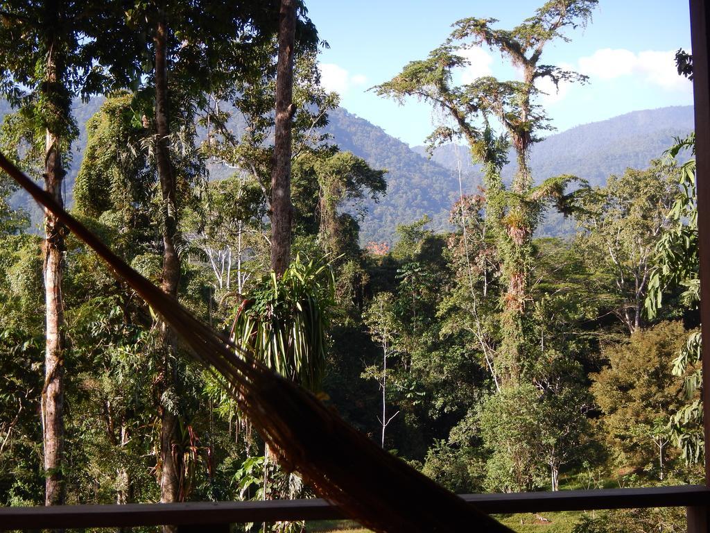 Selva Bananito Lodge Westfalia Phòng bức ảnh